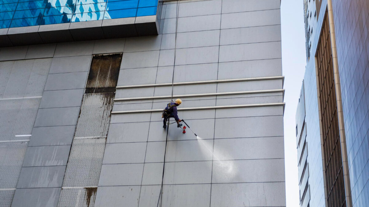 Zielone naloty i glony na elewacji: skąd się biorą i jak je skutecznie usunąć