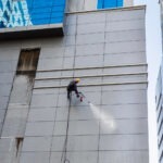 Zielone naloty i glony na elewacji: skąd się biorą i jak je skutecznie usunąć